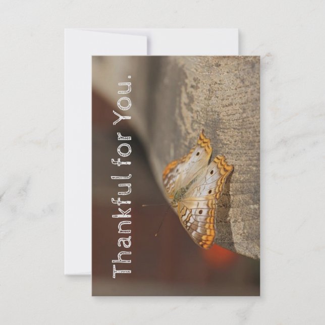 Obrigado pelo cartão de Ação de Graças (Frente)