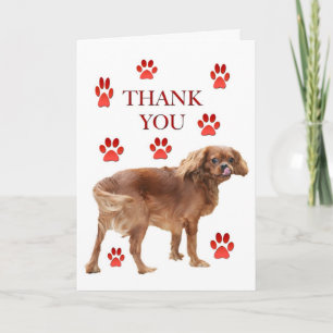 Obrigado Pelo Cartão De Saudação Da Refeição