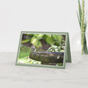 Obrigado pelo maravilhoso cartão de boas-vindas