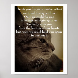 Obrigado & Poster RIP