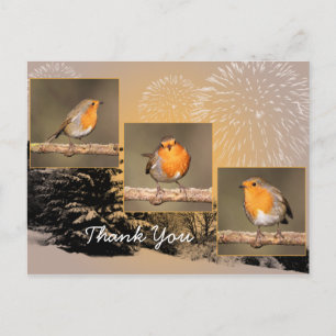 Obrigado Robin Tryptych Cartão Postal