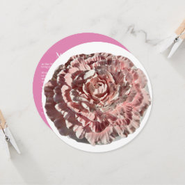 obrigado "Sonho" - Aniversário