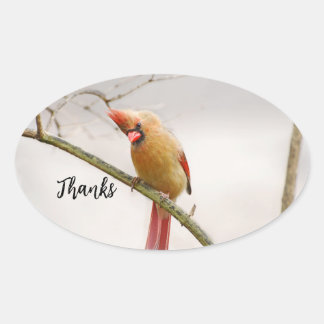 Obrigados adesivo oval