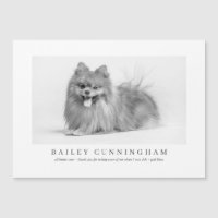 Obrigados De Pet De Foto Modernos E Simples Enferm