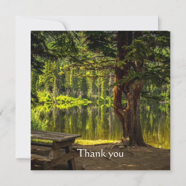 Obrigados Linda Manhã Luz Sol Escritura (Frente)