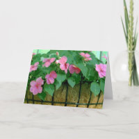 Obtenha uma boa cesta de cartões de impacto