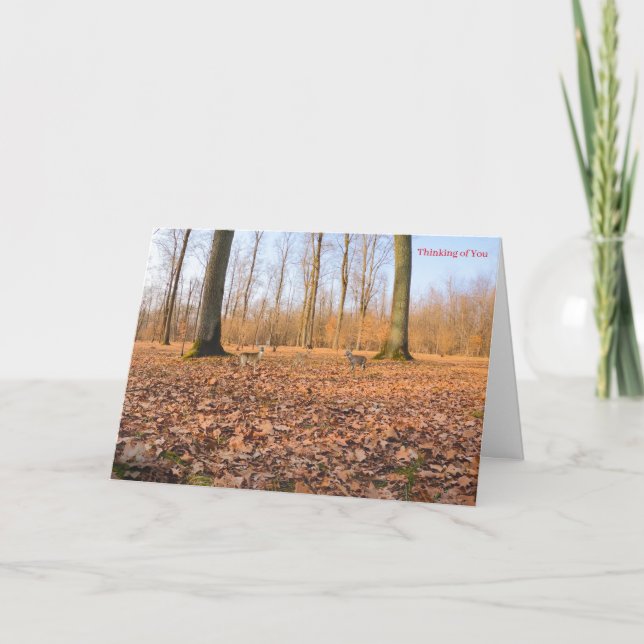 Obter Cartão Bem (Frente)