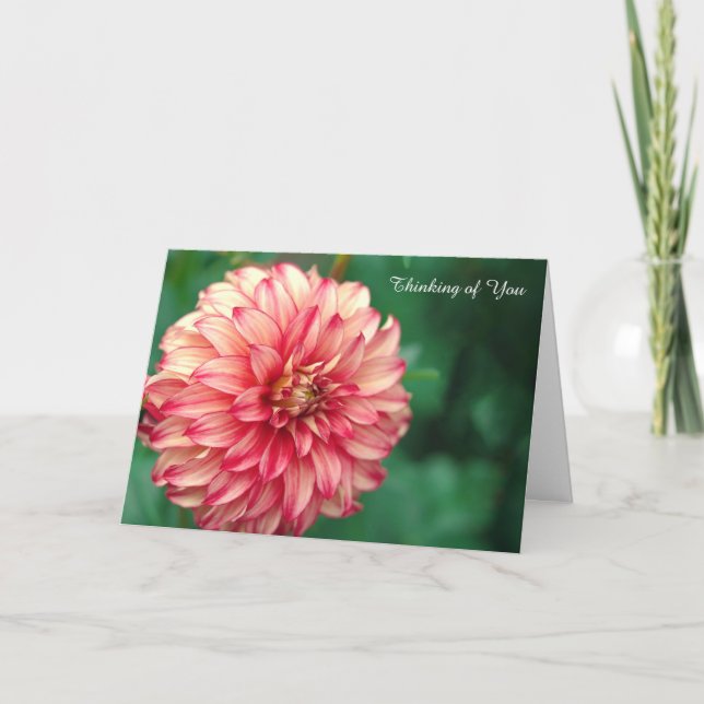 Obter Cartão Bem (Frente)