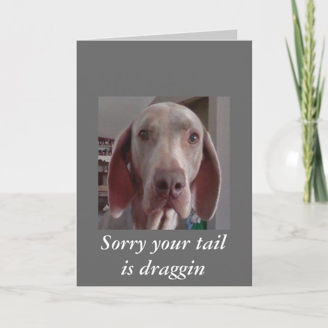 Obter um bom cartão (Frente)