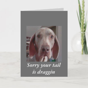 Obter um bom cartão