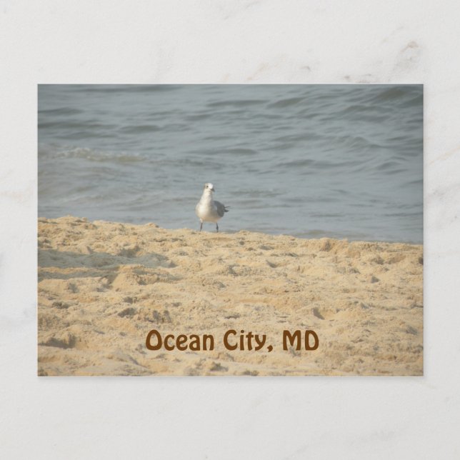 Ocean City, cartão postal MD (Frente)