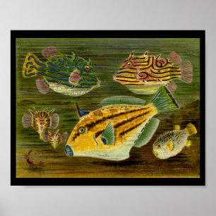 Ocean Fish Yellow Blue Art Impressão