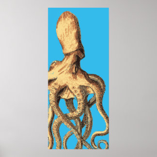 Octopus Impressão