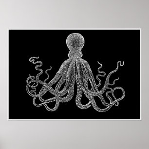 Octopus Vintage Em Poster Preto E Branco