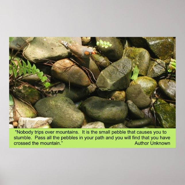 Óculos, impressão (Frente)