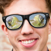 novidade engraçada olhos de sapo malucos