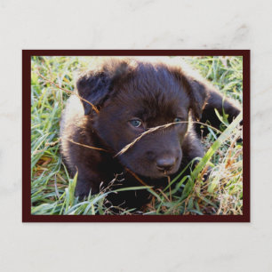 Ocultar Cartões postais