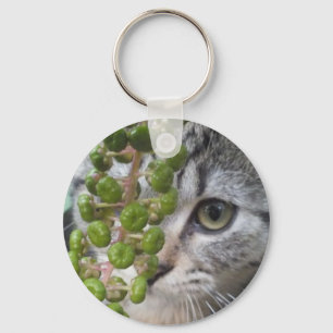 Ocultar Chaveiro de Kitten