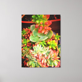 Ofertas de Natures, Impressão de tela estendida