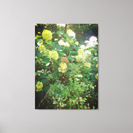 Ofertas de Natures, Impressão de tela estendida