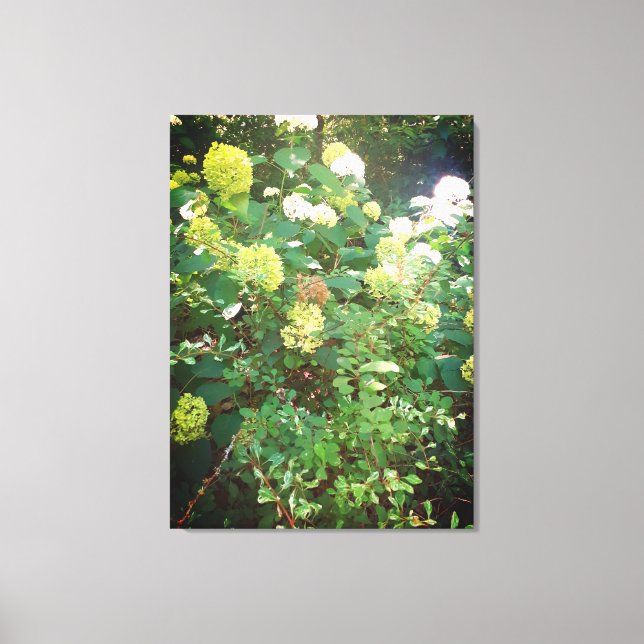 Ofertas de Natures, Impressão de tela estendida (Frente)