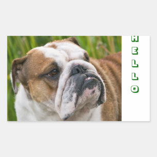 Olá Adesivos de Boas-vindas ao Bulldog Inglês Fofo