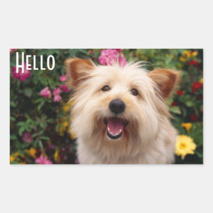 Olá Adesivos de Boas-vindas ao Cachorro da Raça Ca