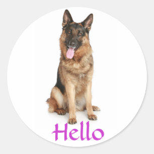 Olá Adesivos de Boas-vindas ao Cachorro Filhote Pa