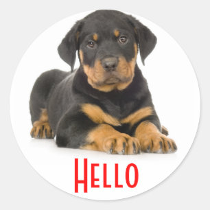 Olá Adesivos de Boas-vindas Cachorrinho Rottweiler