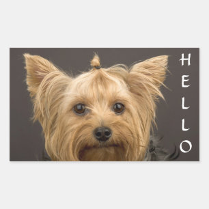 Olá Adesivos de Cachorro Filhote Yorkshire Terrier