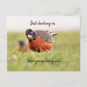 Olá—Apenas Fazendo Check-In Do Cartão Postal