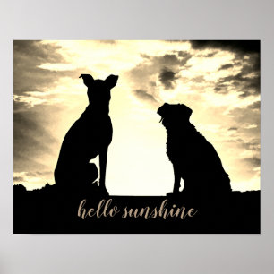 olá, aspas de sol poster com cães