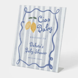 Olá, Baby Lemon Boys Chá de fraldas Bem-Vindo