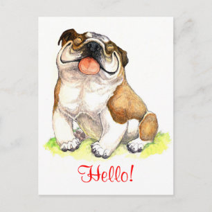 Olá Cachorrinho Bulldog Cartão Postal de Boas-Vin