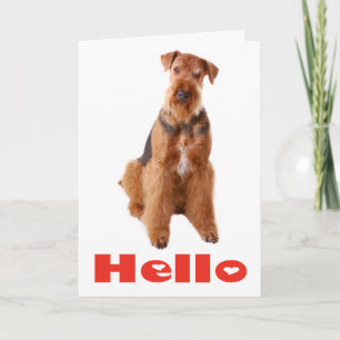 Olá Cartão de Amizade de Cachorro Puppy Airedale -