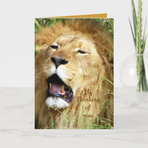 Olá, Cartão de Boas Festas