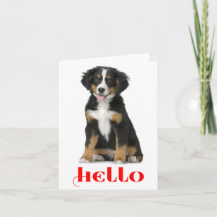 Olá Cartão de Nota de Cachorro Filhote Bernese Mou
