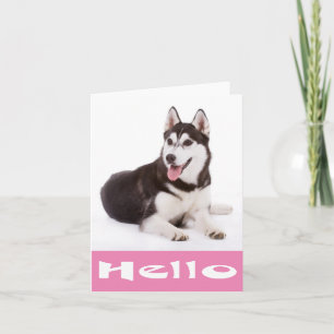 Olá Cartão de Nota em Branco do Cachorro Puppy Sib