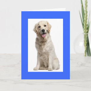 Olá Cartão de Saudação de Cachorro Filhote Retriev