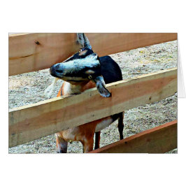 Olá! Cartão de saudação de Goat