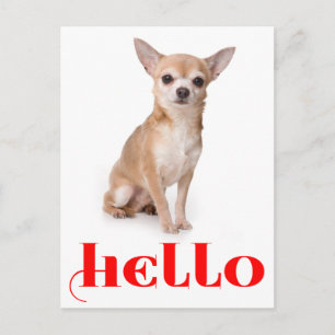 Olá Cartão Postal de Cachorro Filhote Chihuahua