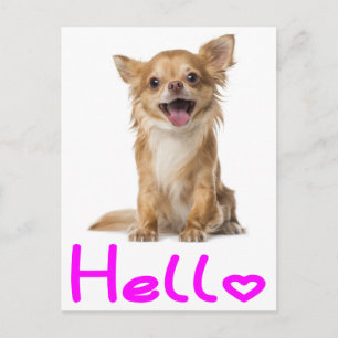 Olá Cartão Postal de Cachorro Filhote Chihuahua