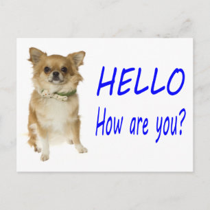Olá Cartão Postal de Cachorro Filhote Chihuahua