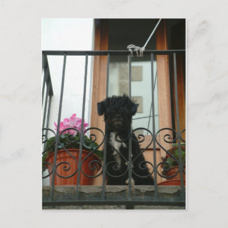 Olá cartão postal de lá de baixo