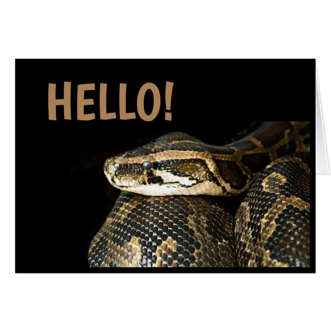 "OLÁ"/ Cobra, Cartão de Cumprimentos em Branco (Frente Horizontal)