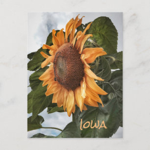 Olá Do Cartão Postal De Iowa