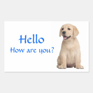 Olá / Oi Adesivos de Cachorro Filhote Labrador Ret