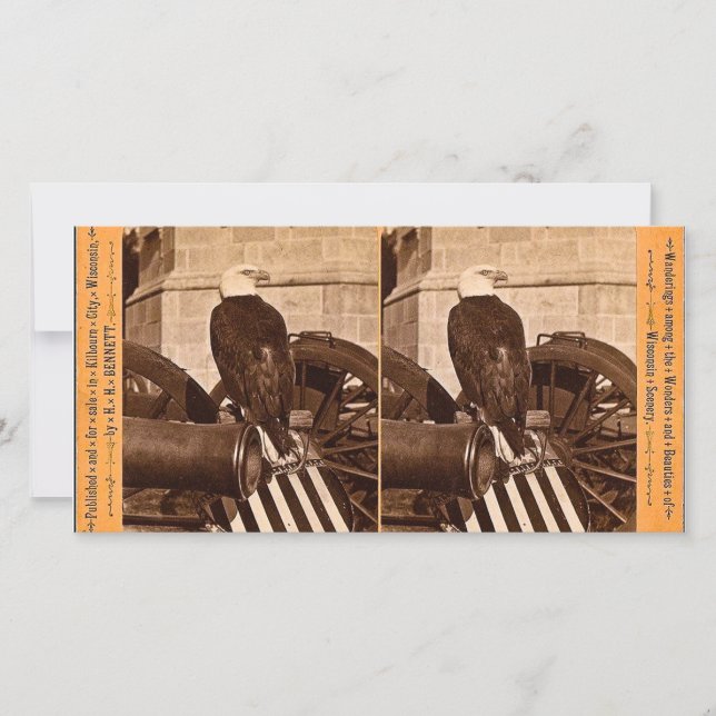 Old Abe, The Wisconsin War Eagle - Stereoview (Frente)
