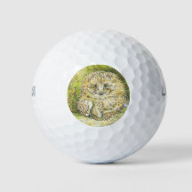 Old Mr Prickly Pin (Hedgehog) (por Beatrix Potter)