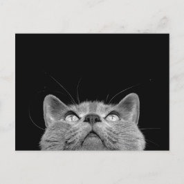 Olhando acima - o cartão